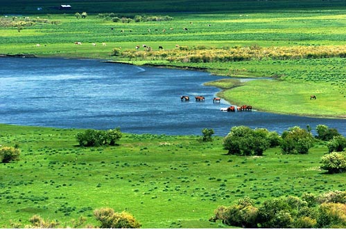 Hulun Buir Grassland, Inner Mongolia