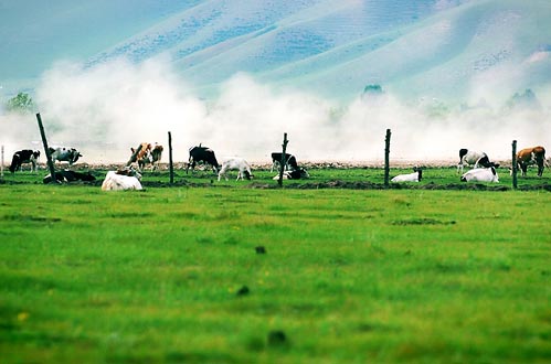 Hulun Buir Grassland, Inner Mongolia